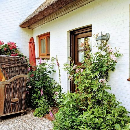 Ferienhaus Ebbe Und Flut, Terrassen-Whg Nieblum Exteriér fotografie