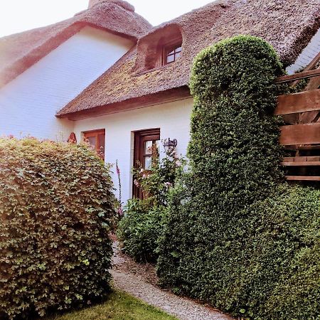 Ferienhaus Ebbe Und Flut, Terrassen-Whg Nieblum Exteriér fotografie